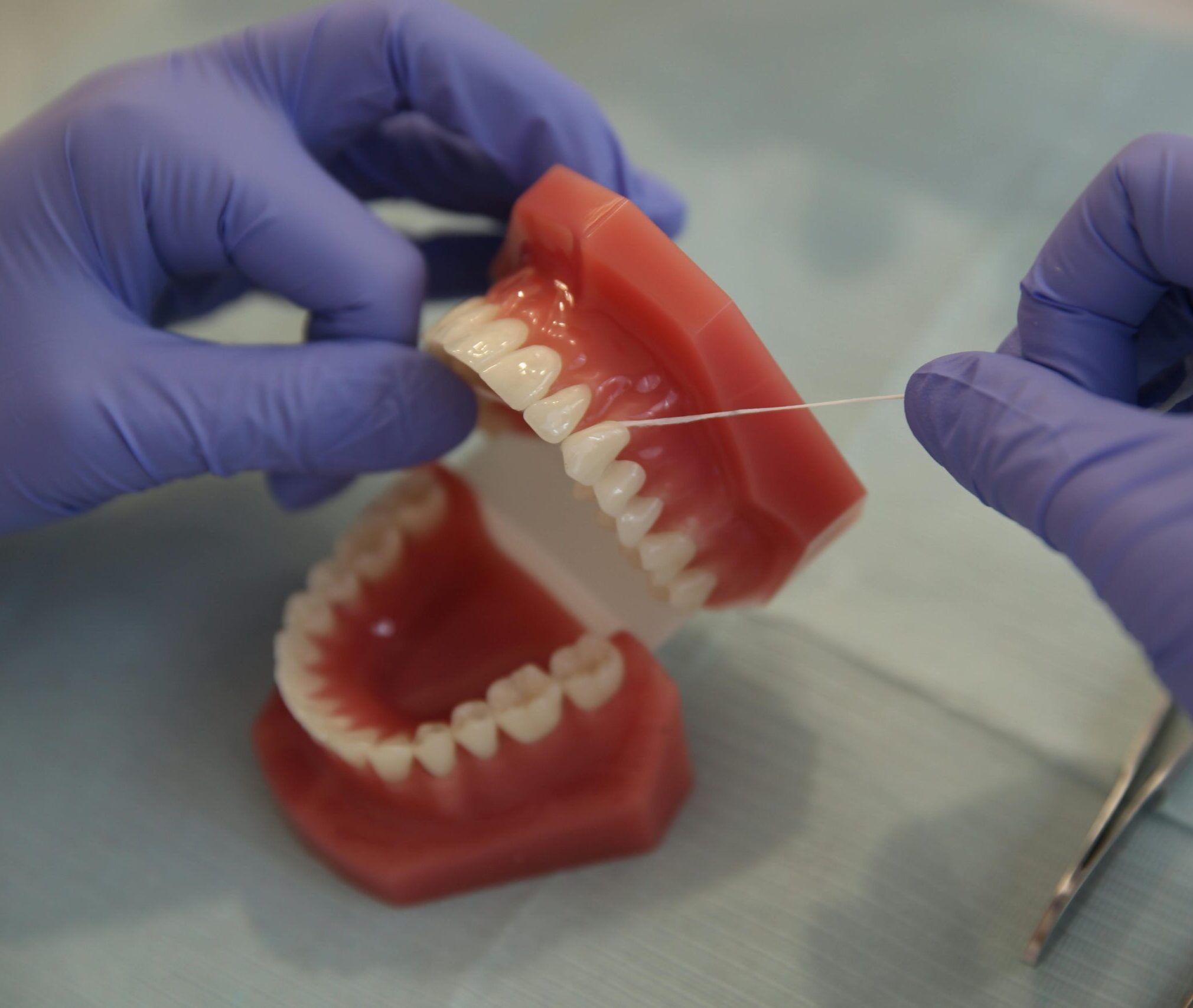 Close-up of a dental professional using floss on a denture model, emphasizing hygiene.